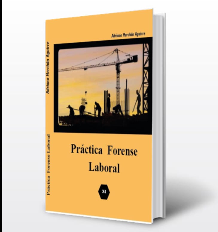 img practica forense laboral